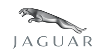 Jaguar Badge