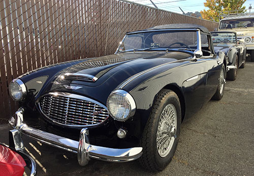 Austin Healey
